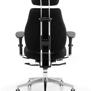 Back view of the chiro plus posture home office chair with dual chrome curved support posts .