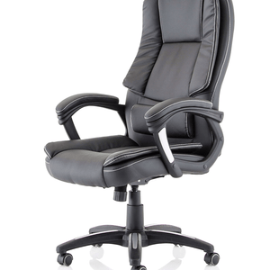 Side view of the faux leather executive home office chair.. with deep upholstery padded seat ,upholstered padded armrests, with detailed silver arm styling,,gas auto tension,twin wheel castors.waterfall front seat.