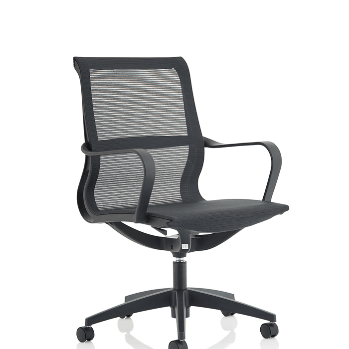 Lula Executive Mesh Back Home Office Chair