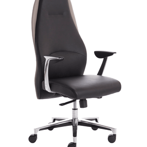 Showing side view of the mien executive soft bonded leather chair with polished aluminum armrests and 5 star base with castor wheels,