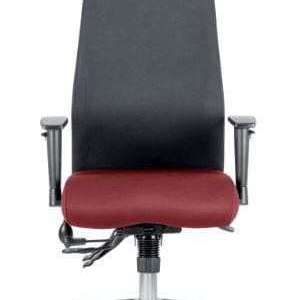 Showing the black  backrest with Ginseng chilli coloured fabric seat cushion of the onyx posture home office chair.