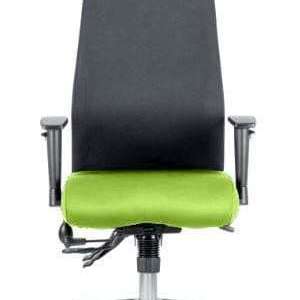 Pictuire of the black fabric backrest with Myrrh green fabric cushioned seat . of the onyx operator home office chair.