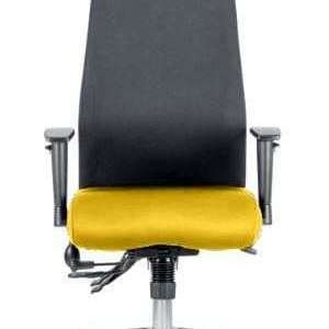 Picture of black fabric backrest with senna yellow coloured seat fabric  of the onyx posture home office chair.