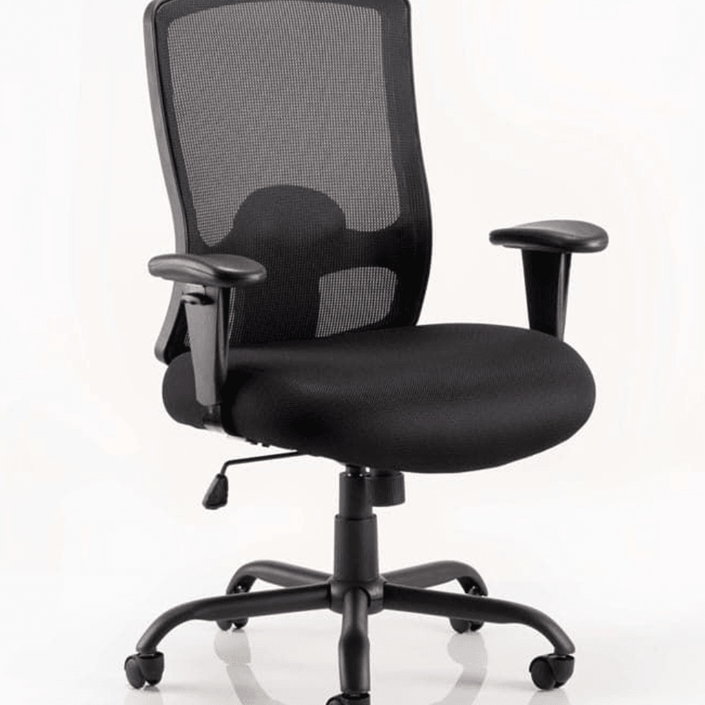 Picture of the  large black mesh backed and large padded seat with adjustable arms that can be removed with single lock mechanism  and 5 star base.