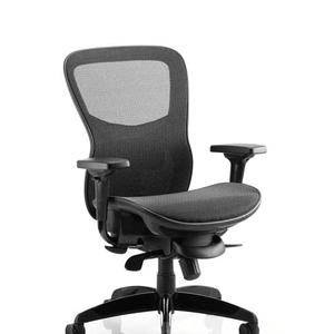 Picture of the stealth posture chair with contoured mesh backrest with cushioned contoured mesh seat with adjustable armrests and 5 star base ,  with castor wheels.