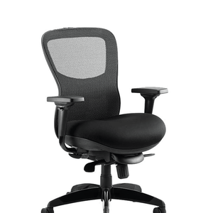 Showing picture of the stealth posture home office chair with  contured mesh backrest and contoure fabric cushioned seat with adjustable armrest and 5 star base , with castor wheels.