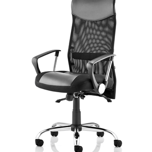 Left angle picture of the vagas executive home office chair , with air mesh backrest , contoured padded mesh and leather seat pad , with chrome 5 star base , with black castor  wheels.