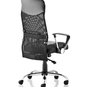 Left side view picture of the vagas executive home office chair with armrest and single lever mechanism gas lift , with chrome 5 star base , with  black castor wheels.