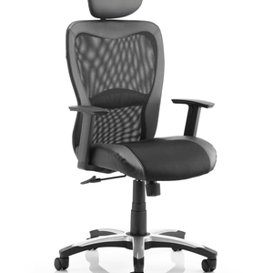 Picture side view of the Victor ii execuitive home office chair in soft bonded leather  with meshed backrest with soft bonded leather edging , and meshed padded seat with , with fixed  nylon armrest, and nylon 5 star base , with chrome detail  and  black castor wheels.